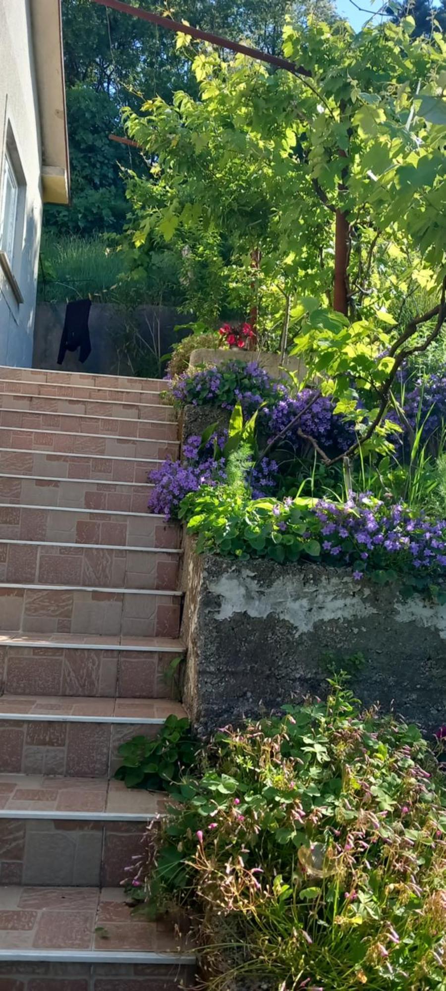 Apartman Svilno Rijeka Zewnętrze zdjęcie