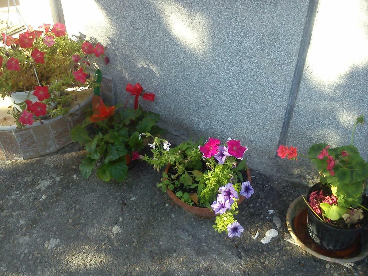 Apartman Svilno Rijeka Zewnętrze zdjęcie